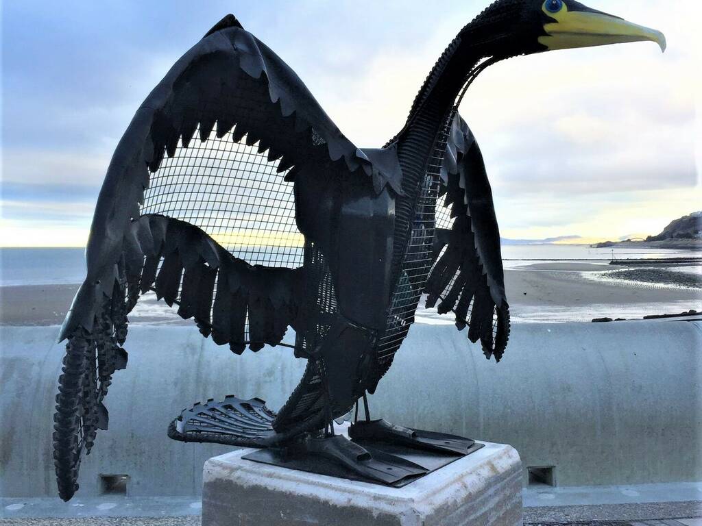 Cormorant installed